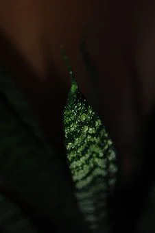 Co należy mieć na uwadze, jeśli się wybiera nową huśtawę do swojego ogrodu