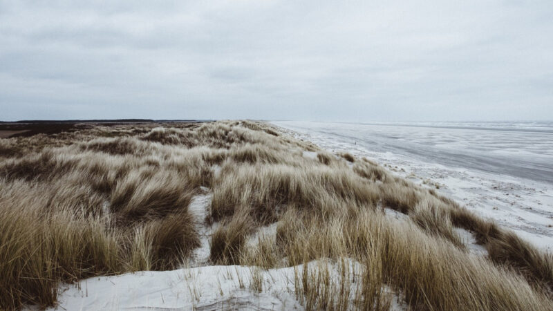 Trzy powody, dla jakich warto zajrzeć do Lubiatowa